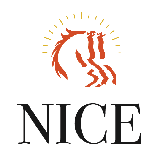 Final Nice Logo